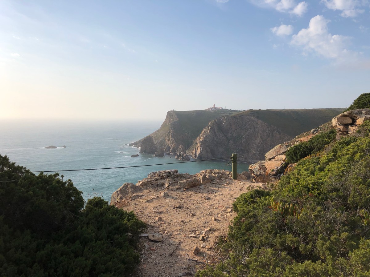 Carlos Viewpoint